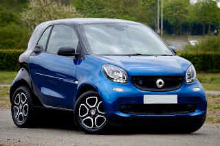 Forzest am billigsten