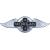 Logo Morgan