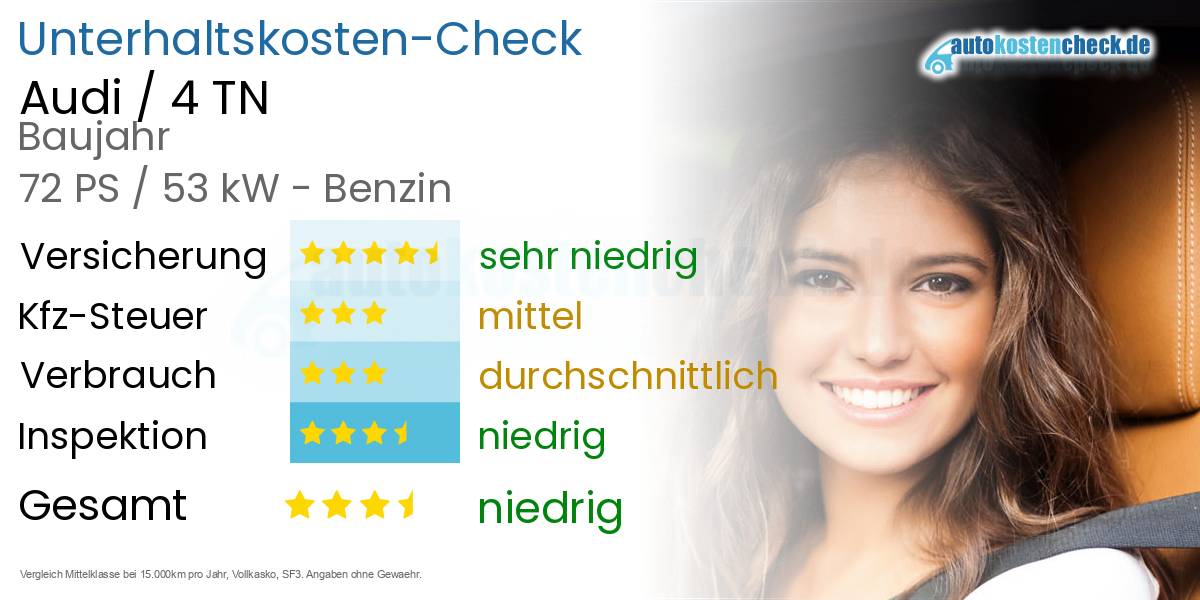 Unterhaltskosten Audi / 4 TN