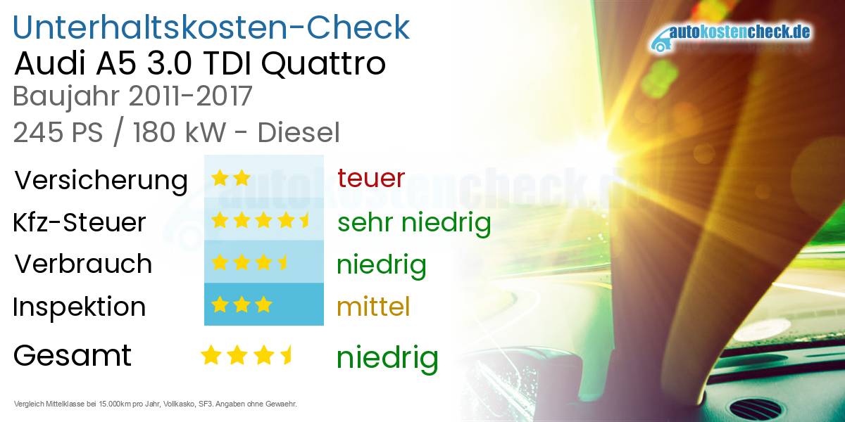 Audi A5 3.0 Tdi 245 Ps Unterhaltskosten