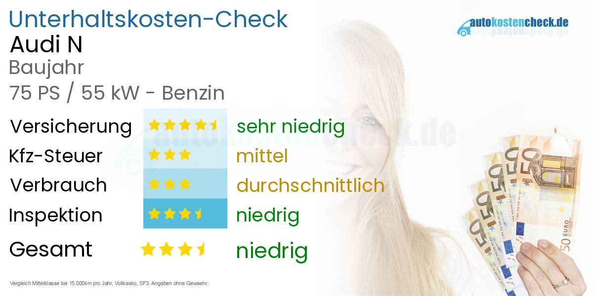 Unterhaltskosten Audi N