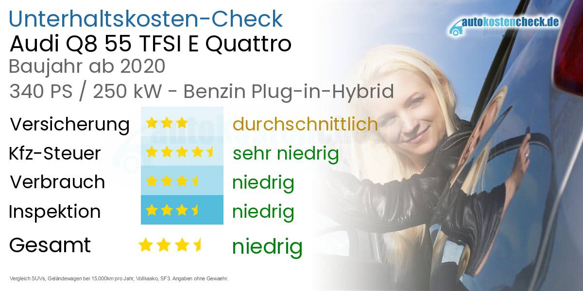 Unterhaltskosten Audi Q8 55 TFSI E Quattro 