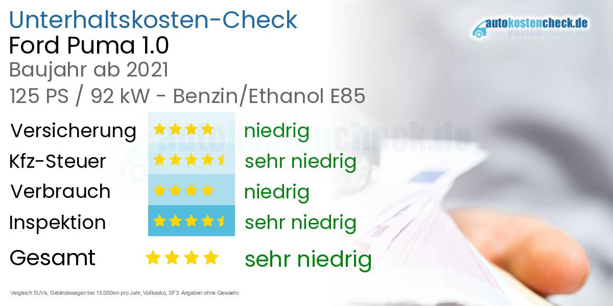 Unterhaltskosten Ford Puma 1.0 
