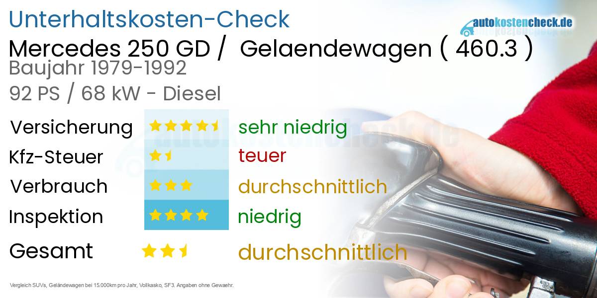 Unterhaltskosten Mercedes 250 GD /  Gelaendewagen (460.3)