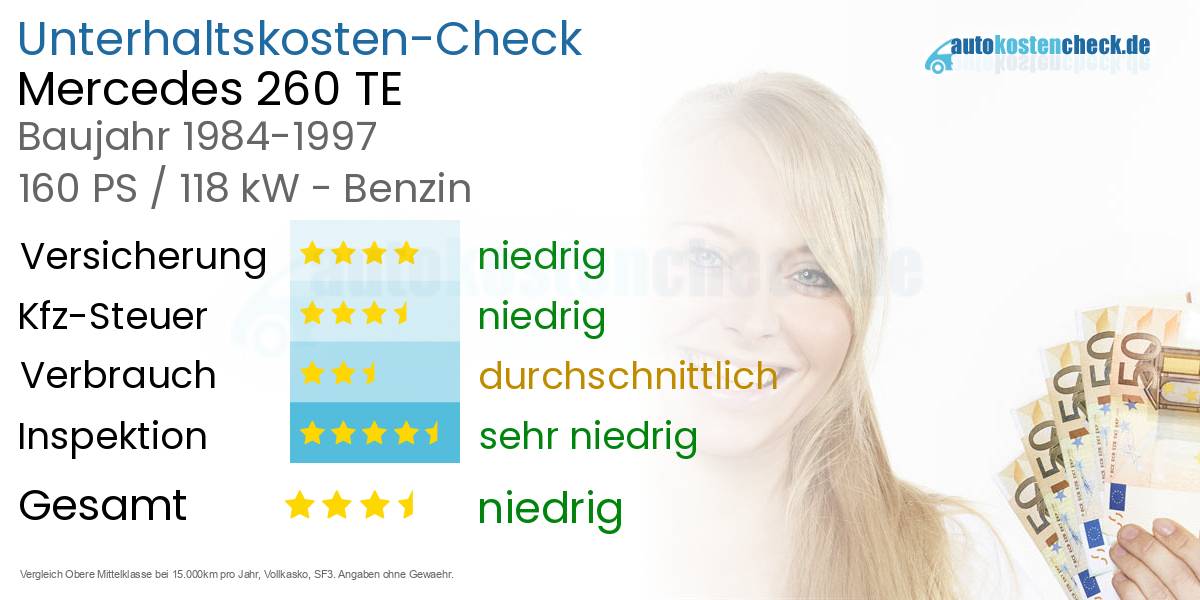 Unterhaltskosten Mercedes 260 TE 