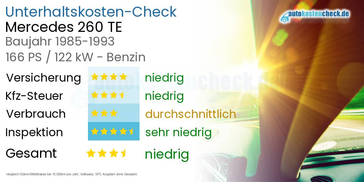 Unterhaltskosten Mercedes 260 TE 