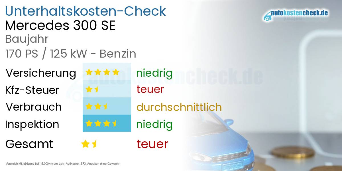 Unterhaltskosten Mercedes 300 SE