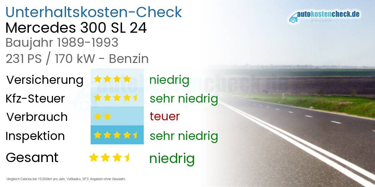 Unterhaltskosten Mercedes 300 SL 24 