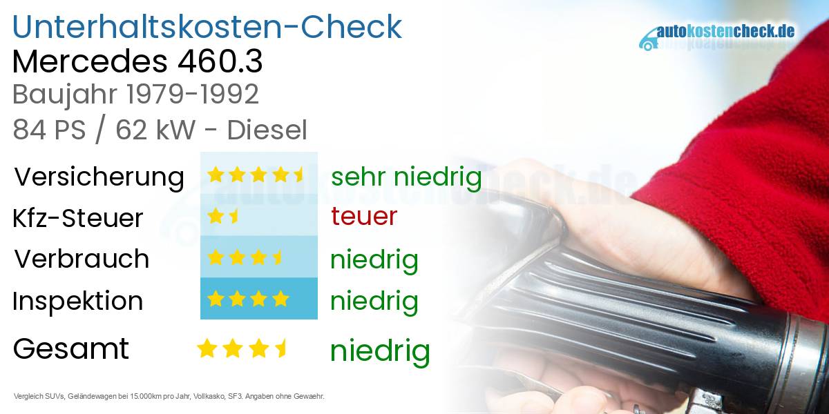 Unterhaltskosten Mercedes 460.3 