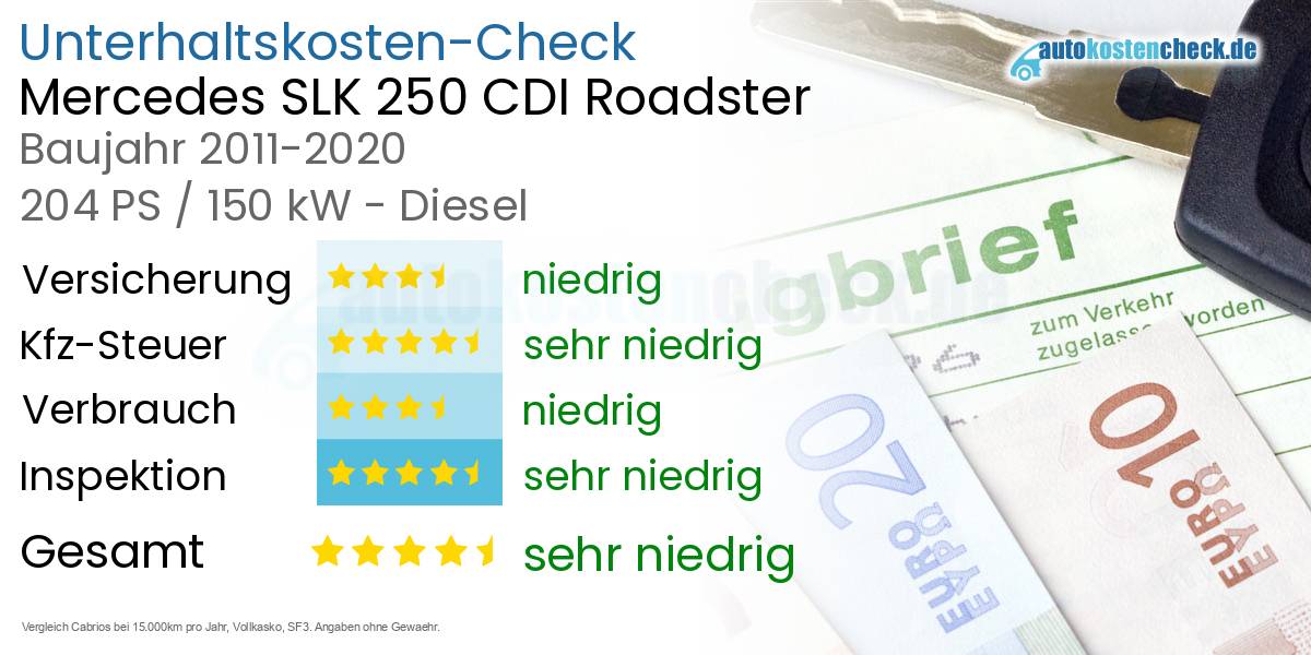 Unterhaltskosten Mercedes SLK 250 CDI Roadster 