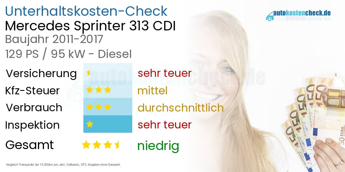 Unterhaltskosten Mercedes Sprinter 313 CDI 
