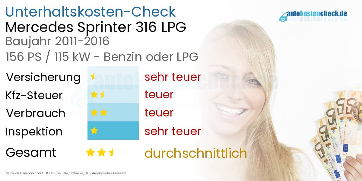 Unterhaltskosten Mercedes Sprinter 316 LPG