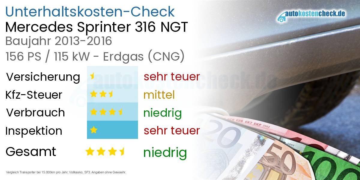 Unterhaltskosten Mercedes Sprinter 316 NGT