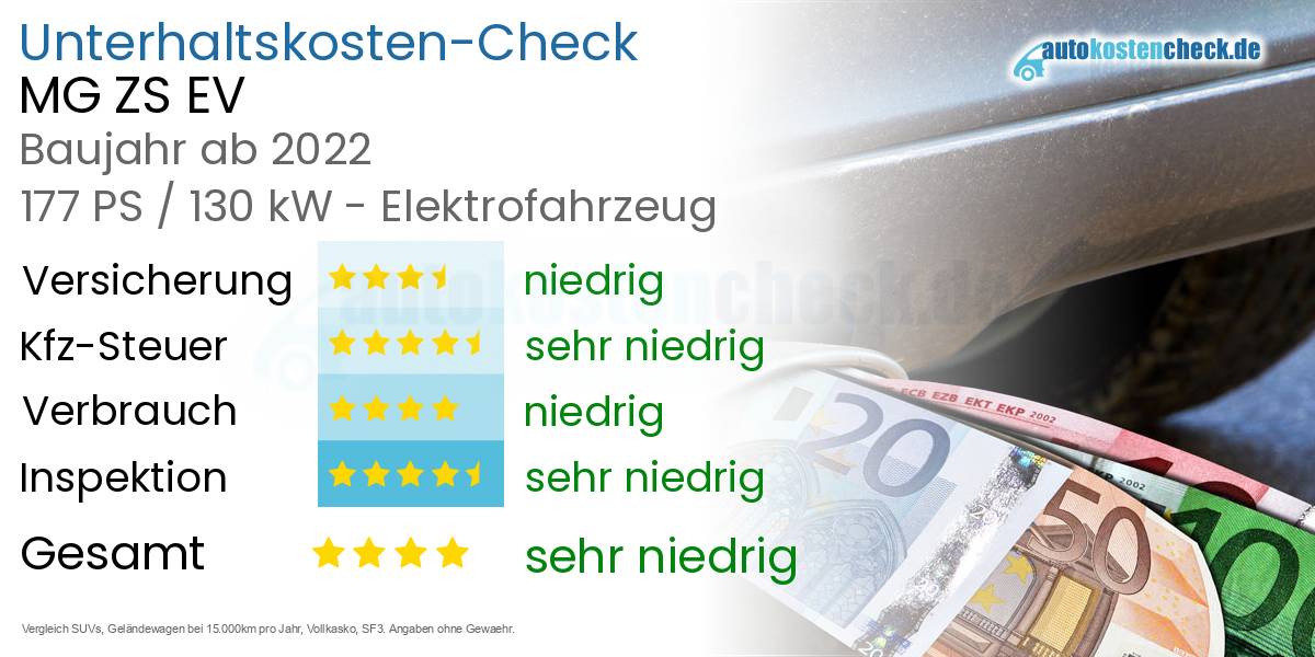 Unterhaltskosten MG ZS EV 