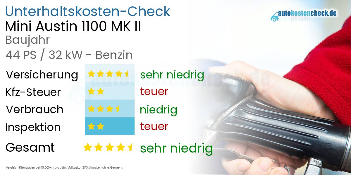 Unterhaltskosten Mini Austin 1100 MK II