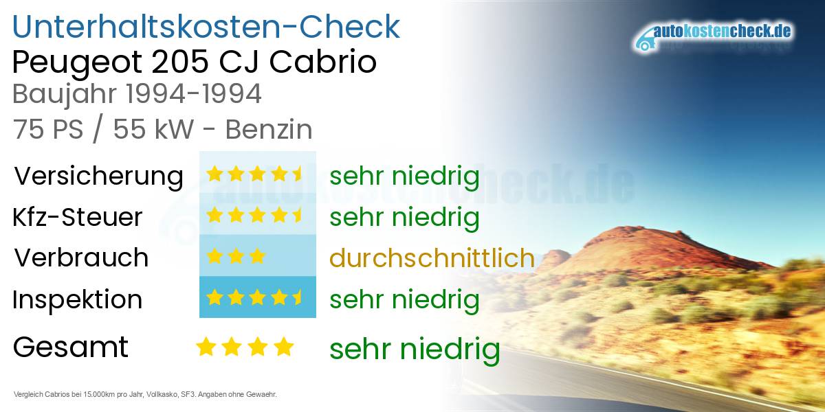 Unterhaltskosten Peugeot 205 CJ Cabrio 