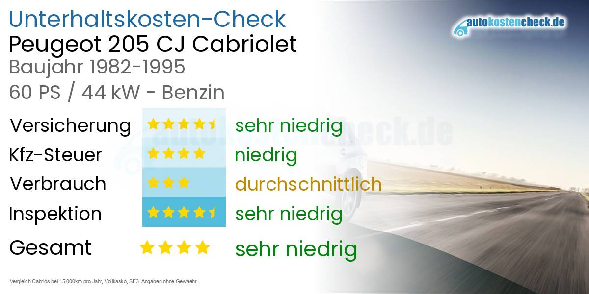 Unterhaltskosten Peugeot 205 CJ Cabriolet 