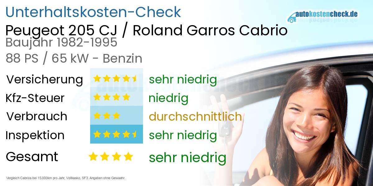 Unterhaltskosten Peugeot 205 CJ / Roland Garros Cabrio 