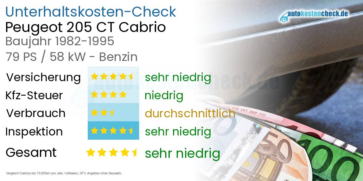 Unterhaltskosten Peugeot 205 CT Cabrio 