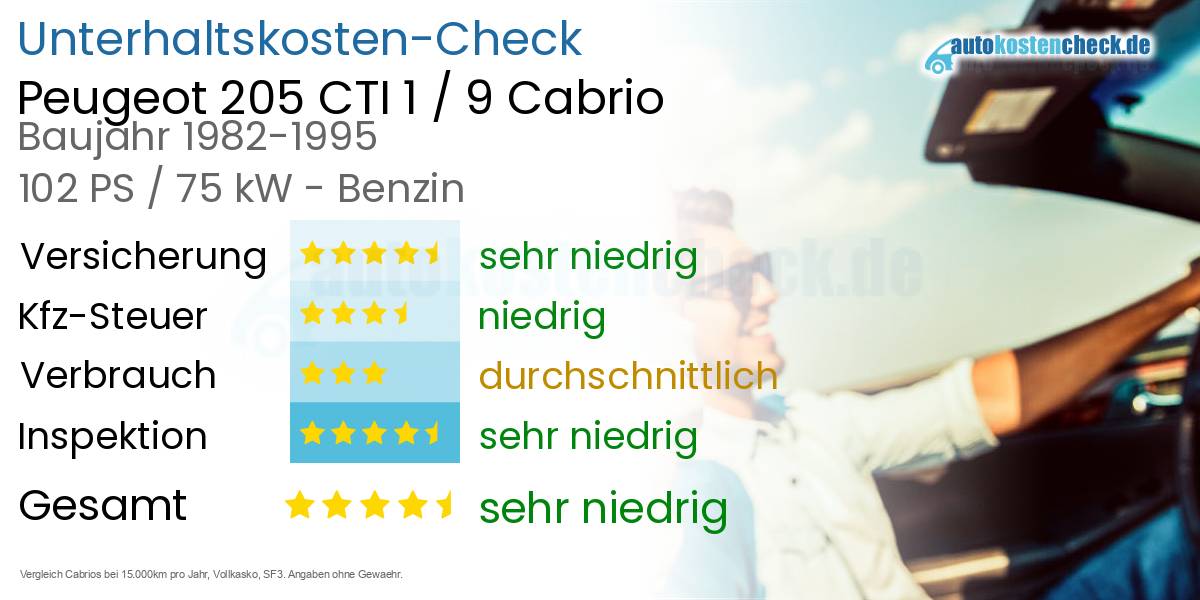Unterhaltskosten Peugeot 205 CTI 1 / 9 Cabrio 