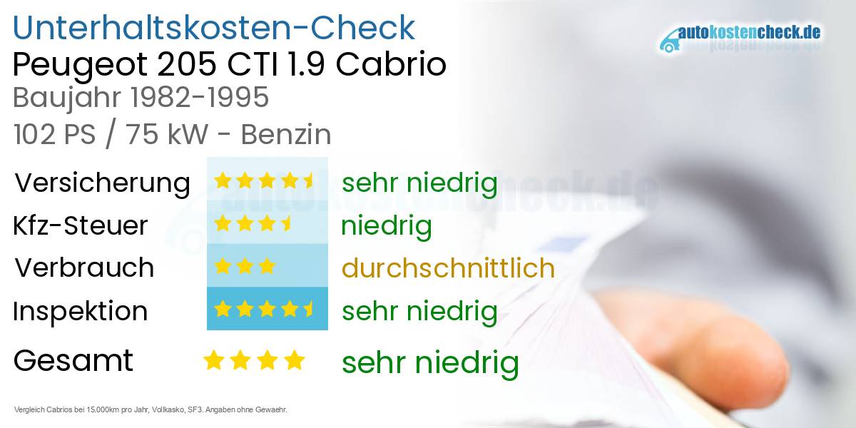 Unterhaltskosten Peugeot 205 CTI 1.9 Cabrio 