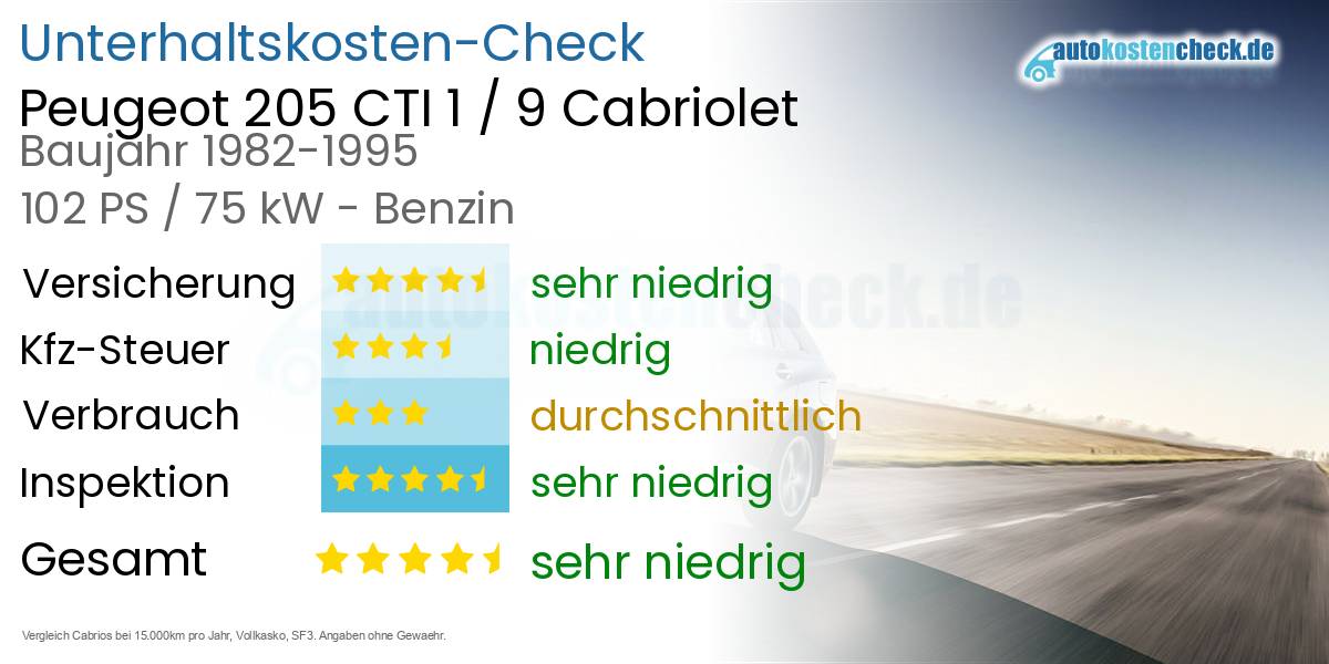 Unterhaltskosten Peugeot 205 CTI 1 / 9 Cabriolet 