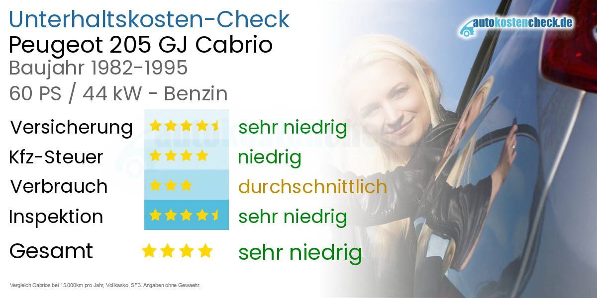 Unterhaltskosten Peugeot 205 GJ Cabrio 