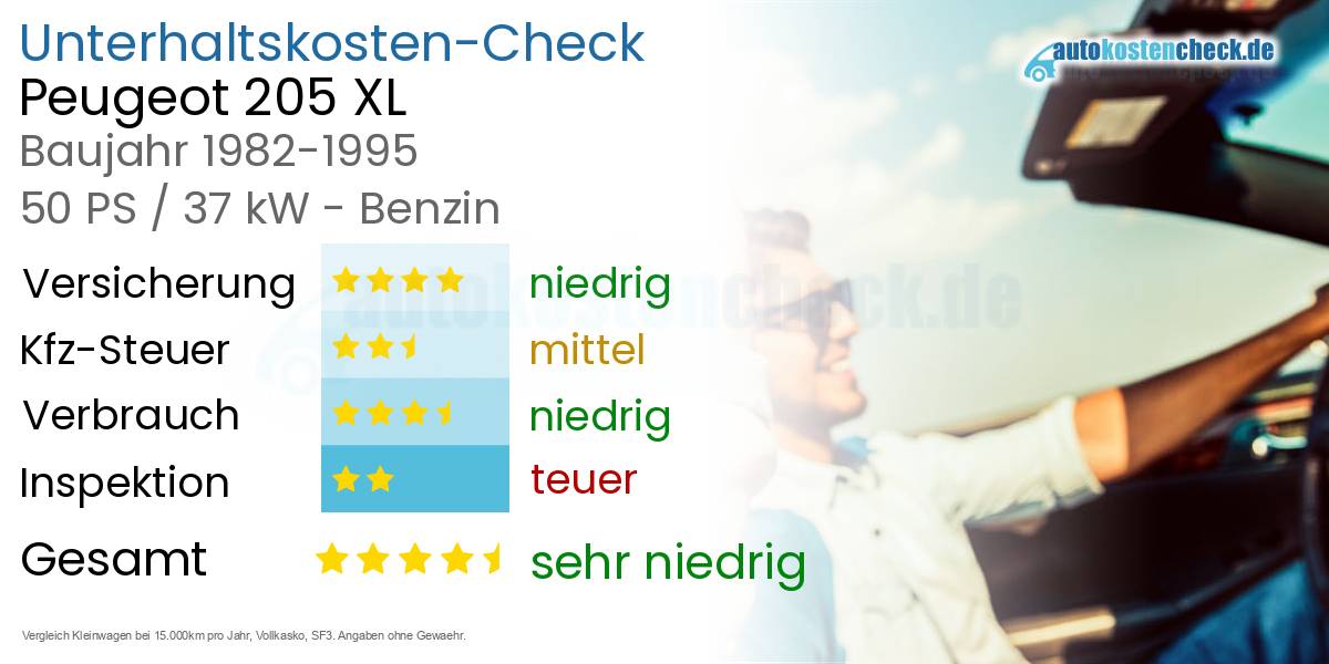 Unterhaltskosten Peugeot 205 XL 