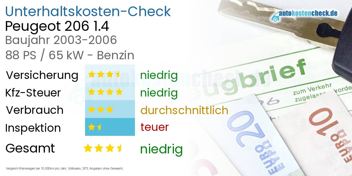Unterhaltskosten Peugeot 206 1.4 