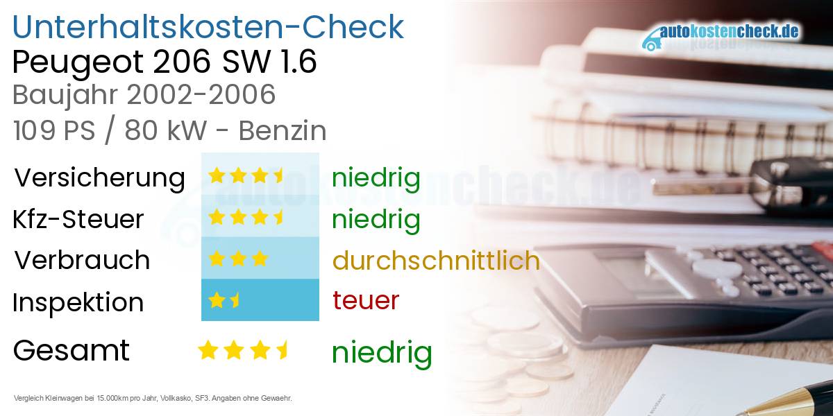 Unterhaltskosten Peugeot 206 SW 1.6 