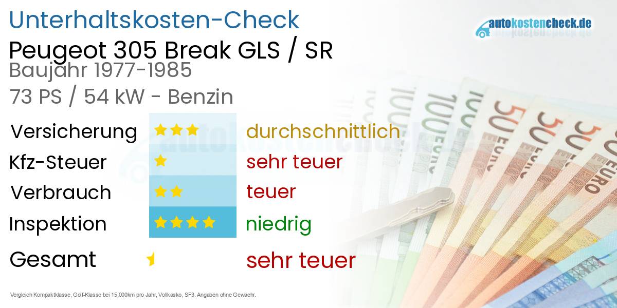 Unterhaltskosten Peugeot 305 Break GLS / SR 