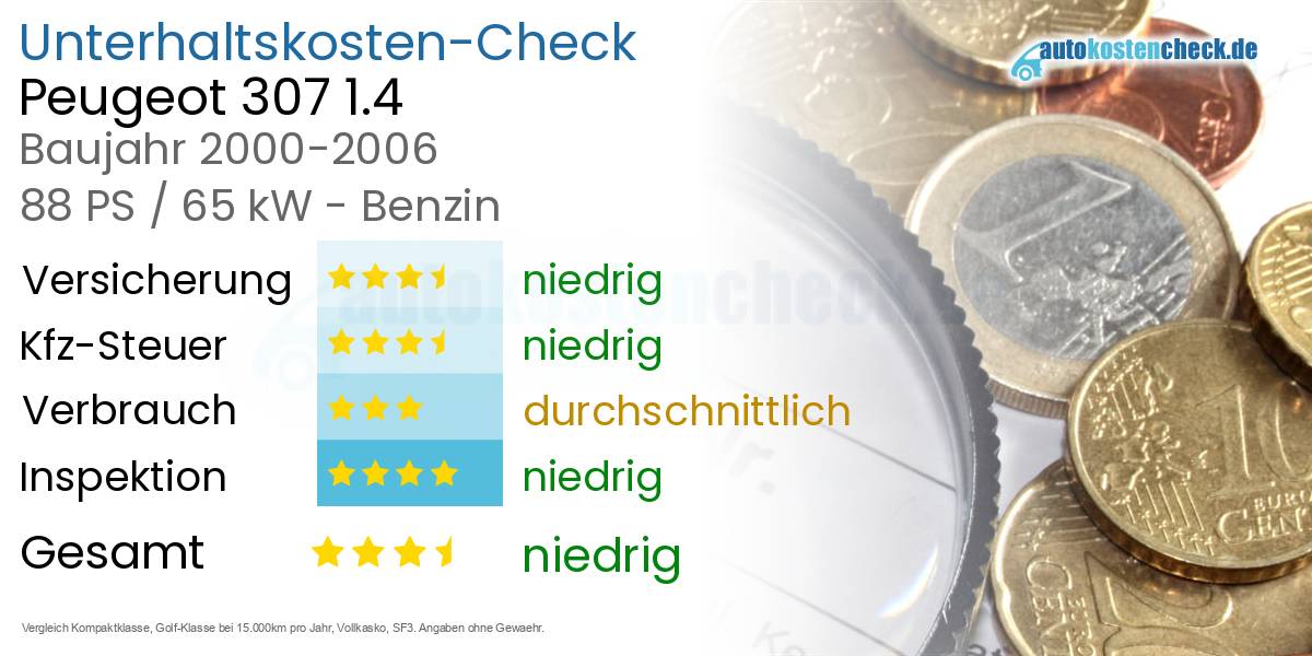 Unterhaltskosten Peugeot 307 1.4 