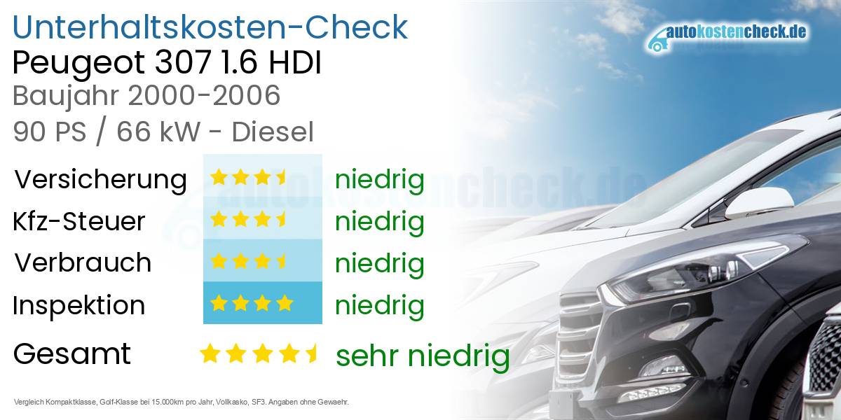 Unterhaltskosten Peugeot 307 1.6 HDI 