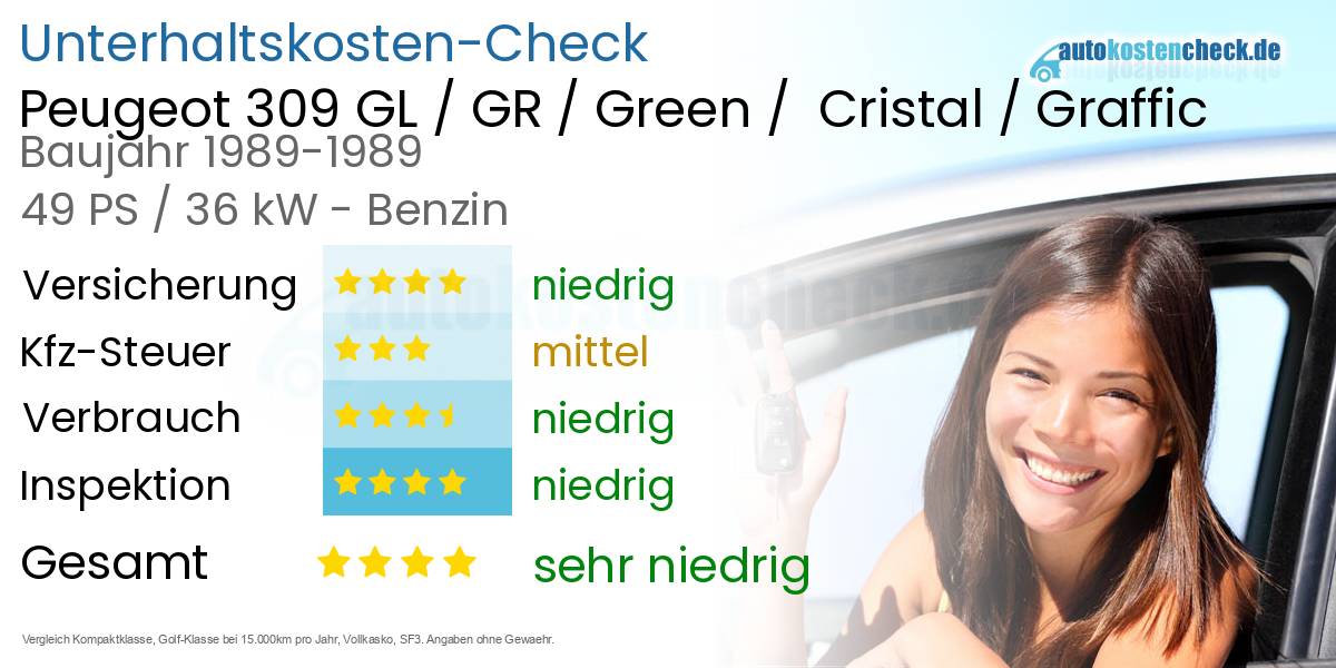 Unterhaltskosten Peugeot 309 GL / GR / Green /  Cristal / Graffic 