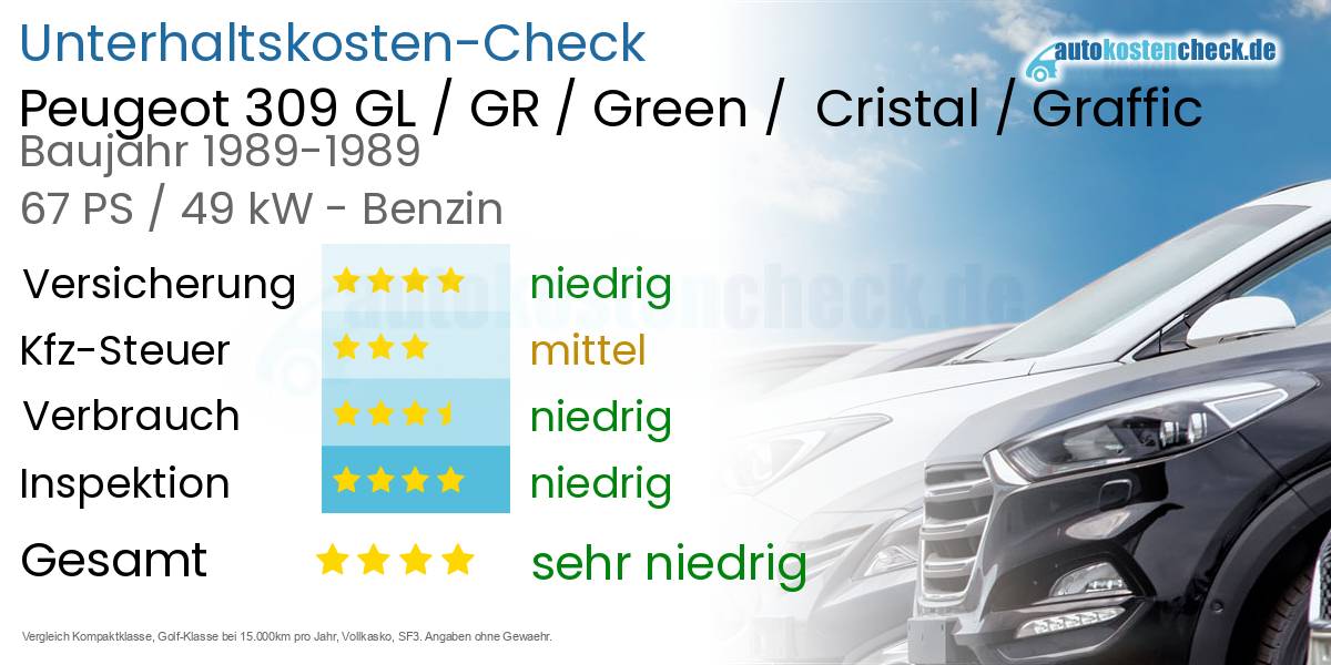 Unterhaltskosten Peugeot 309 GL / GR / Green /  Cristal / Graffic 