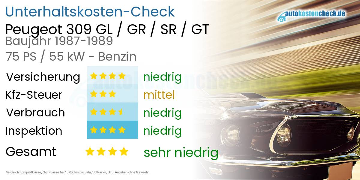 Unterhaltskosten Peugeot 309 GL / GR / SR / GT 