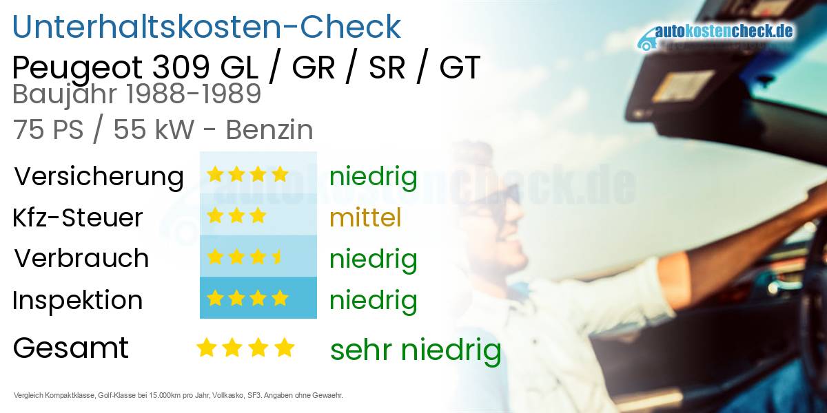 Unterhaltskosten Peugeot 309 GL / GR / SR / GT 