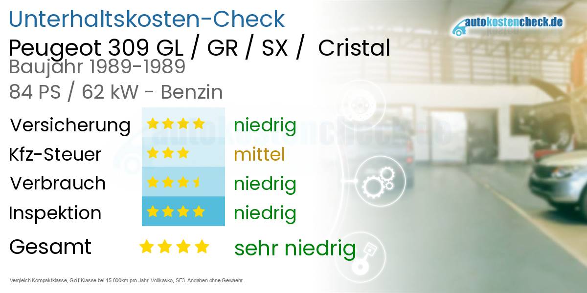Unterhaltskosten Peugeot 309 GL / GR / SX /  Cristal 