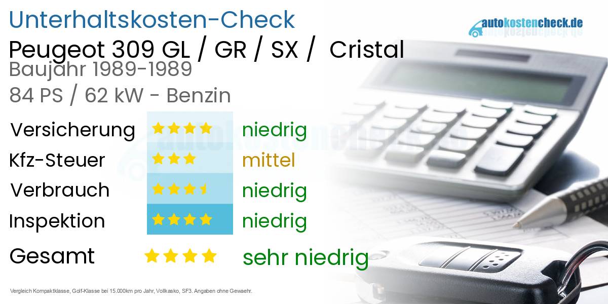 Unterhaltskosten Peugeot 309 GL / GR / SX /  Cristal 