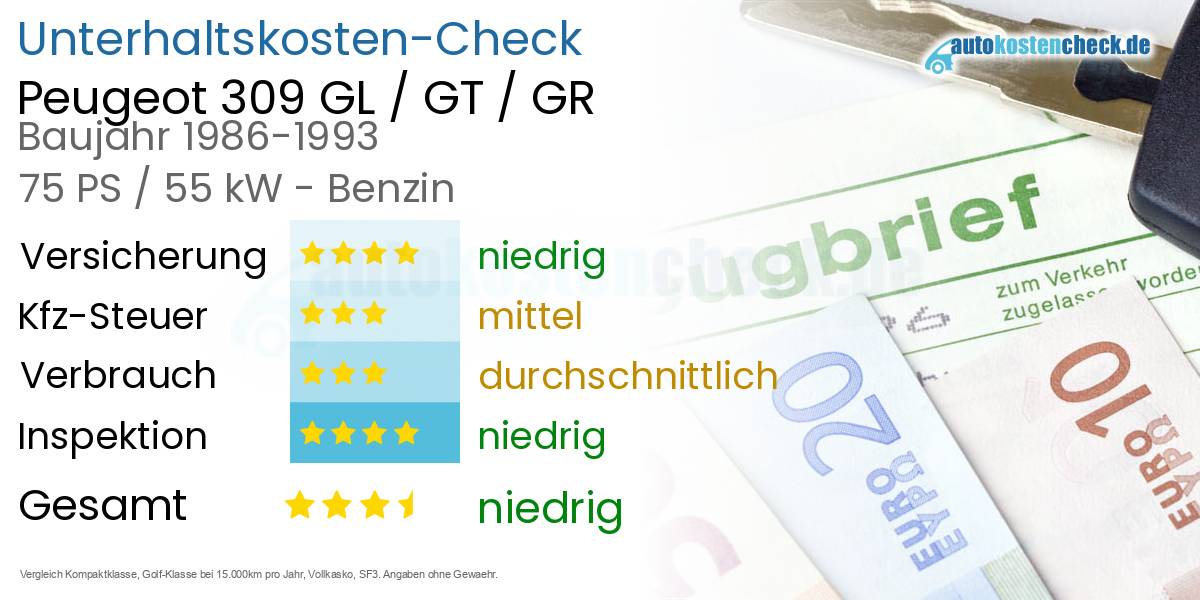 Unterhaltskosten Peugeot 309 GL / GT / GR 
