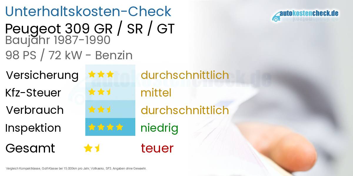 Unterhaltskosten Peugeot 309 GR / SR / GT 