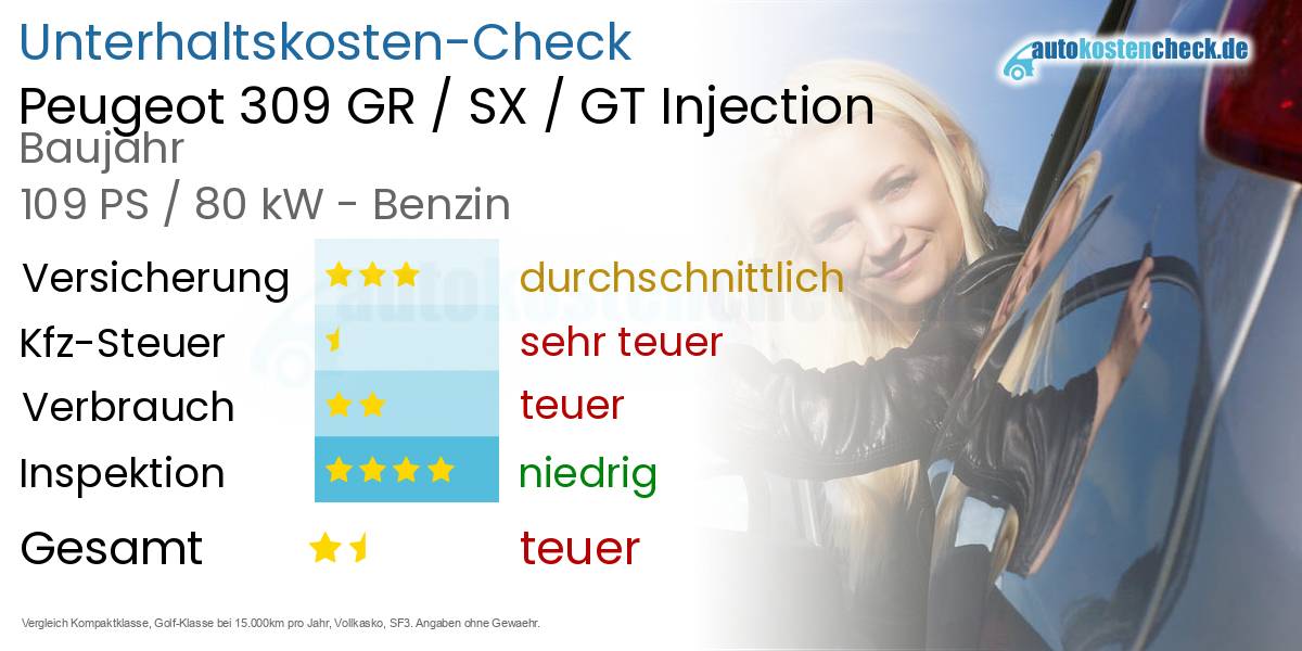 Unterhaltskosten Peugeot 309 GR / SX / GT Injection 