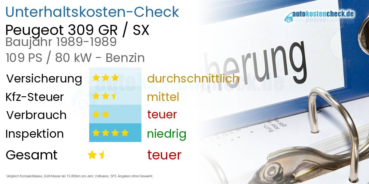 Unterhaltskosten Peugeot 309 GR / SX 