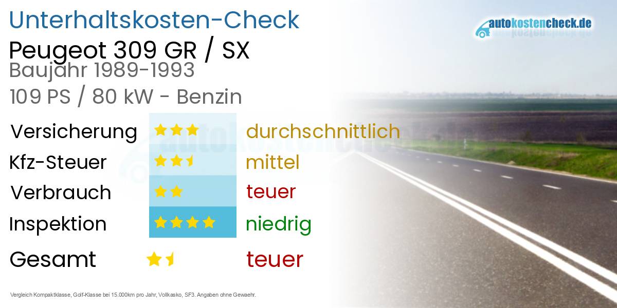 Unterhaltskosten Peugeot 309 GR / SX 