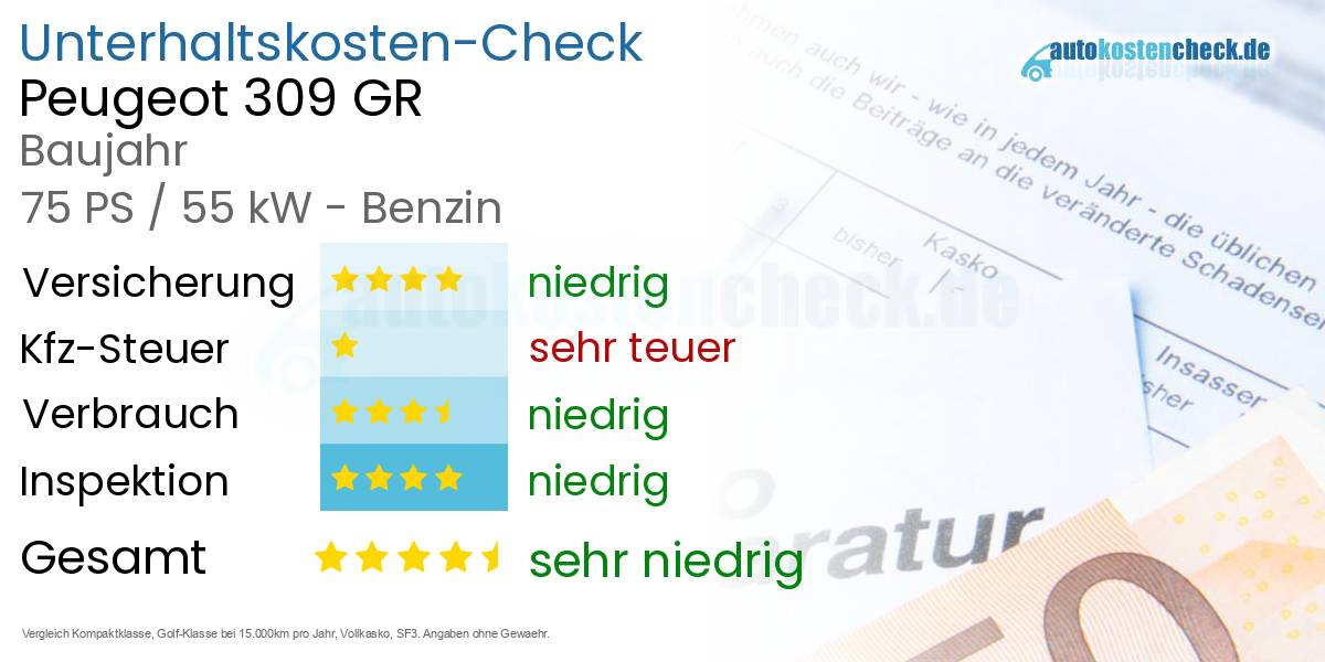 Unterhaltskosten Peugeot 309 GR 