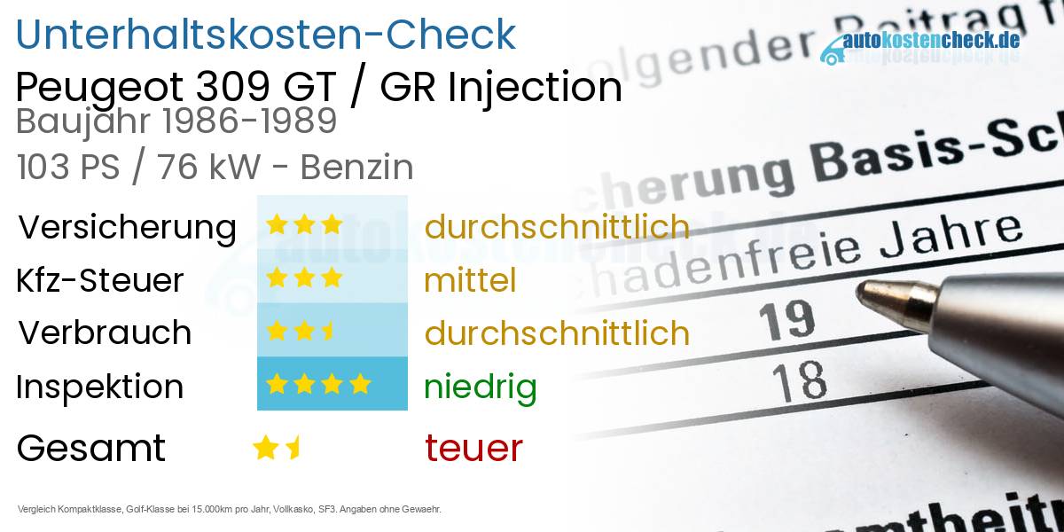 Unterhaltskosten Peugeot 309 GT / GR Injection 
