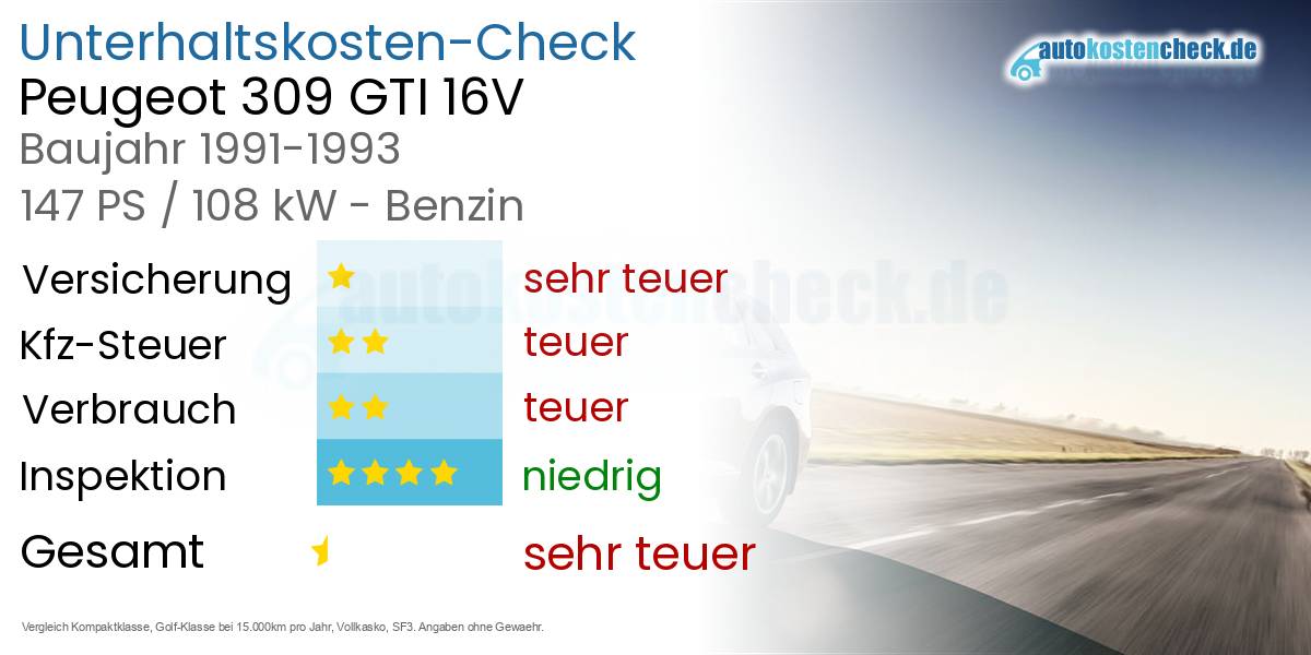 Unterhaltskosten Peugeot 309 GTI 16V 