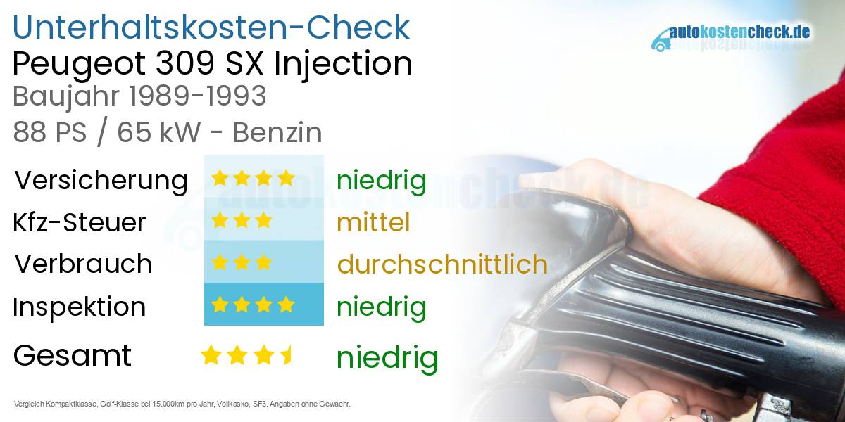 Unterhaltskosten Peugeot 309 SX Injection 