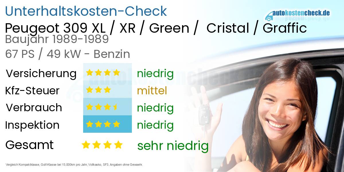 Unterhaltskosten Peugeot 309 XL / XR / Green /  Cristal / Graffic 