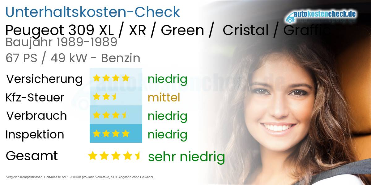 Unterhaltskosten Peugeot 309 XL / XR / Green /  Cristal / Graffic 